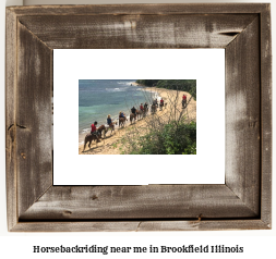 horseback riding near me in Brookfield, Illinois